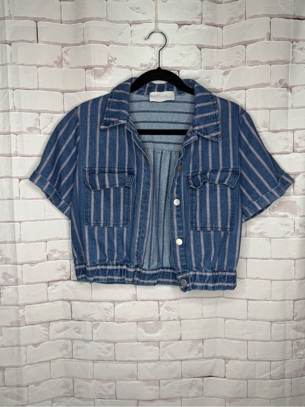 Blush Boutique Striped Cropped Denim Jacket‎ | Size Large